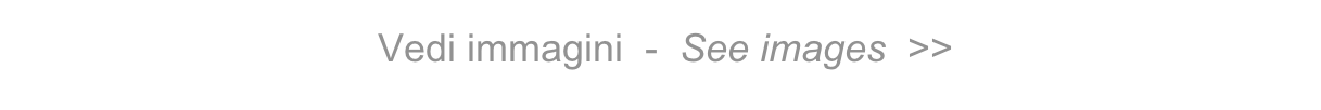  Vedi immagini  -  See images  >>