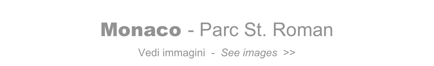 Monaco - Parc St. Roman   
Vedi immagini  -  See images  >>